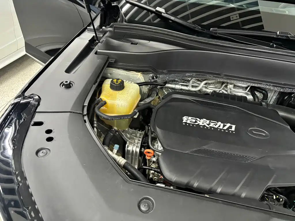 GAC Trumpchi GAC Trumpchi GS8 2022 Lexion Series 2.0TGDI FWD Luxury Intelligent Connection Version (7-seater) 2023 - thumbnail 16