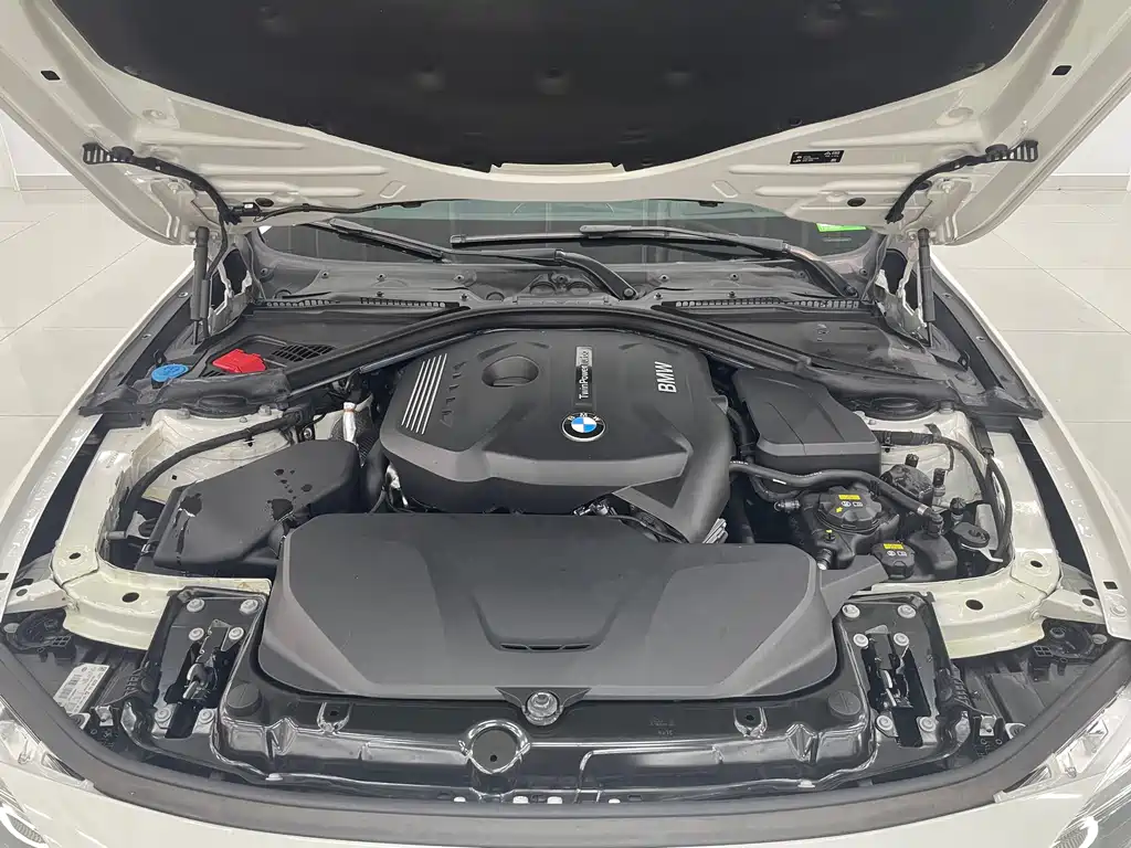 BMW BMW 3 Series 2019 320Li M Sport Shadow Night Edition 2019 - thumbnail 23