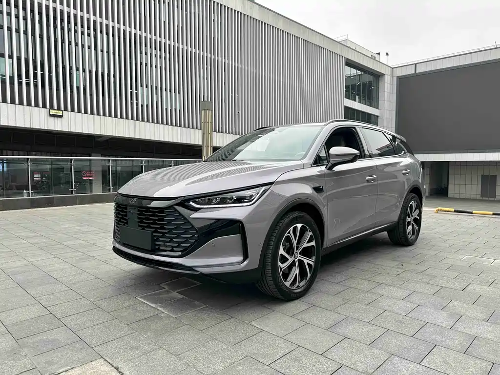 BYD Tang New Energy 2025 Intelligent Drive Edition DM-i 115KM Flagship Model 2025
