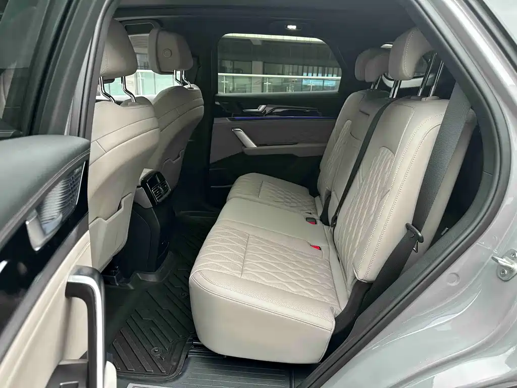 BYD Tang New Energy 2025 Intelligent Drive Edition DM-i 115KM Flagship Model 2025 - thumbnail 9