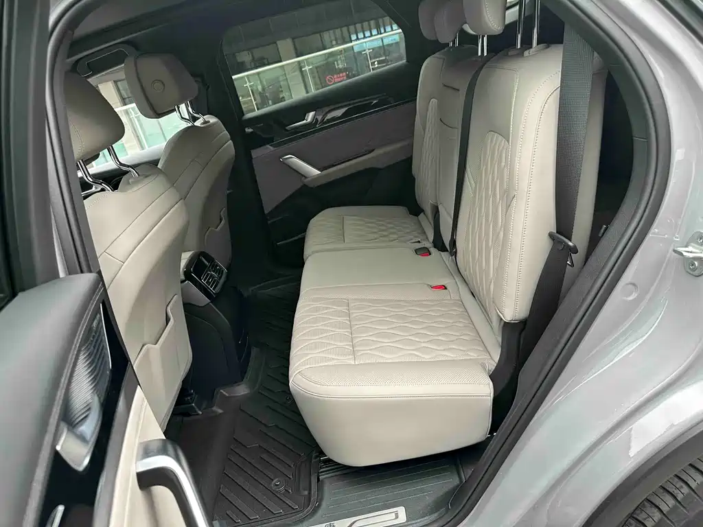 BYD Tang New Energy 2025 Intelligent Drive Edition DM-i 115KM Flagship Model 2025 - thumbnail 10