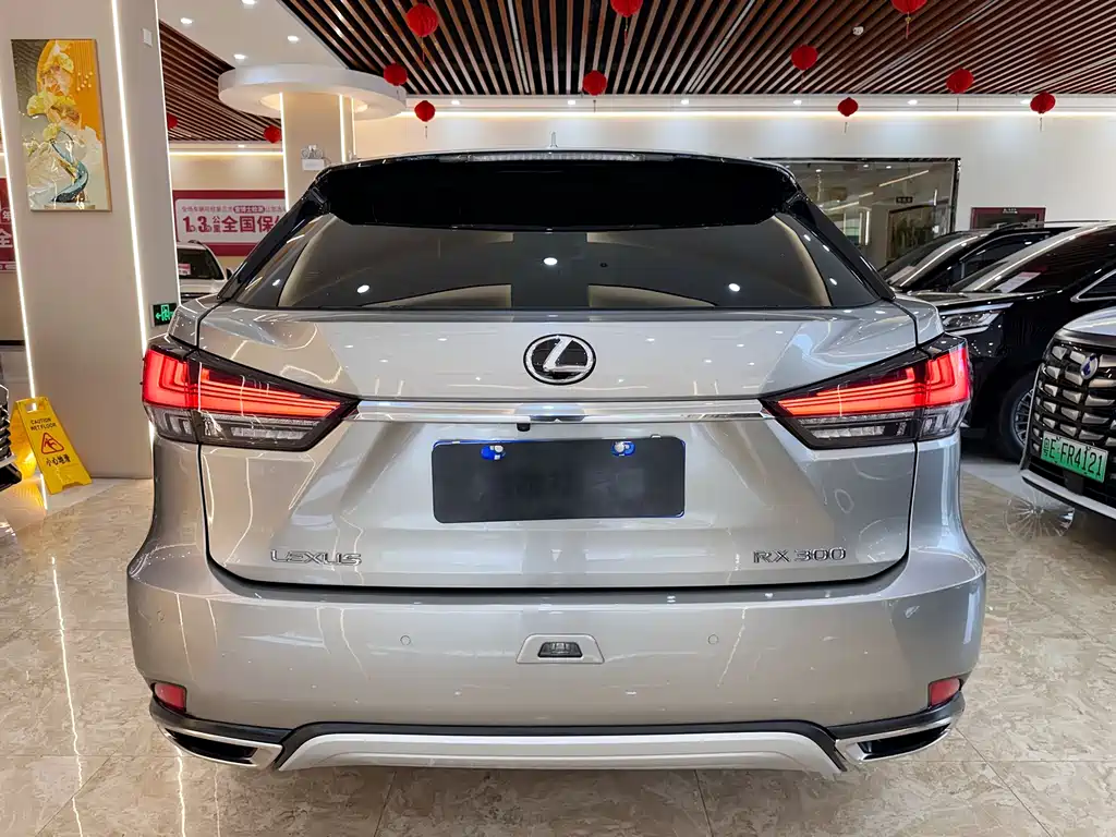 Lexus Lexus RX 300 AWD Elegant Edition (2020 Model Year Facelift) 2021 - thumbnail 5