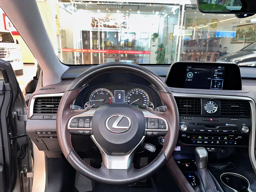 Lexus Lexus RX 300 AWD Elegant Edition (2020 Model Year Facelift) 2021 - thumbnail 9