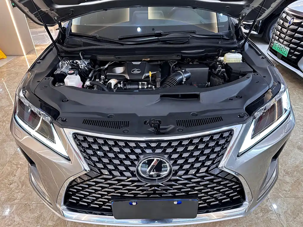 Lexus Lexus RX 300 AWD Elegant Edition (2020 Model Year Facelift) 2021 - thumbnail 18