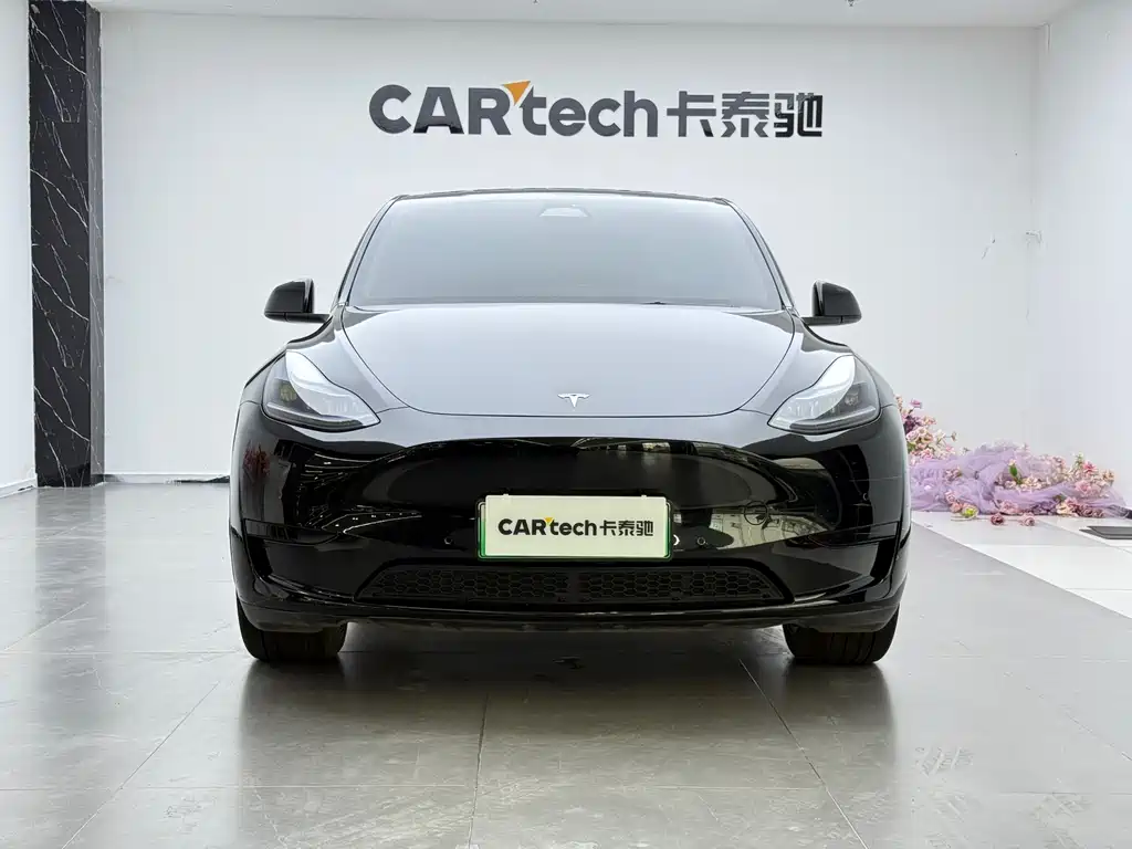 Tesla Model Y 2024 Rear-Wheel Drive 2024 - thumbnail 2