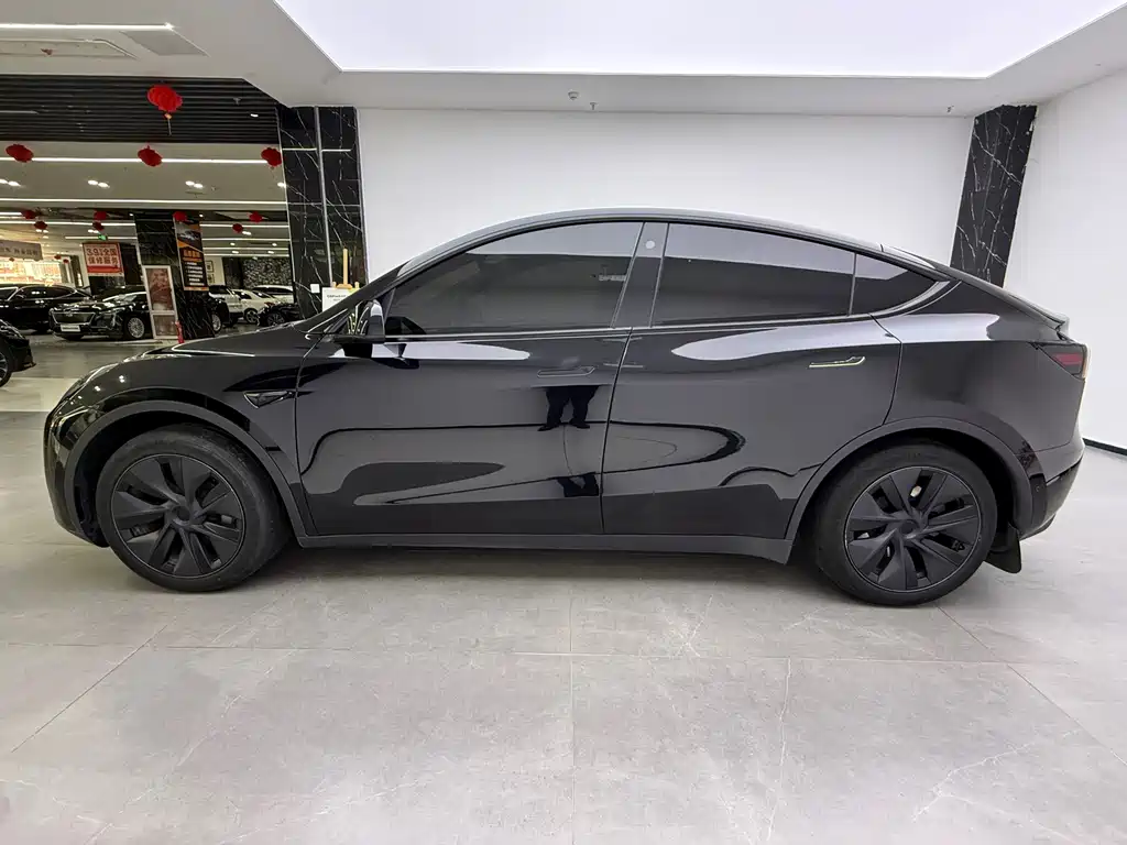 Tesla Model Y 2024 Rear-Wheel Drive 2024 - thumbnail 5