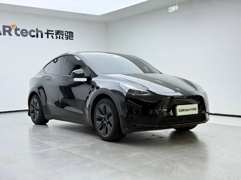 Tesla Model Y 2024 Rear-Wheel Drive 2024 - thumbnail 6