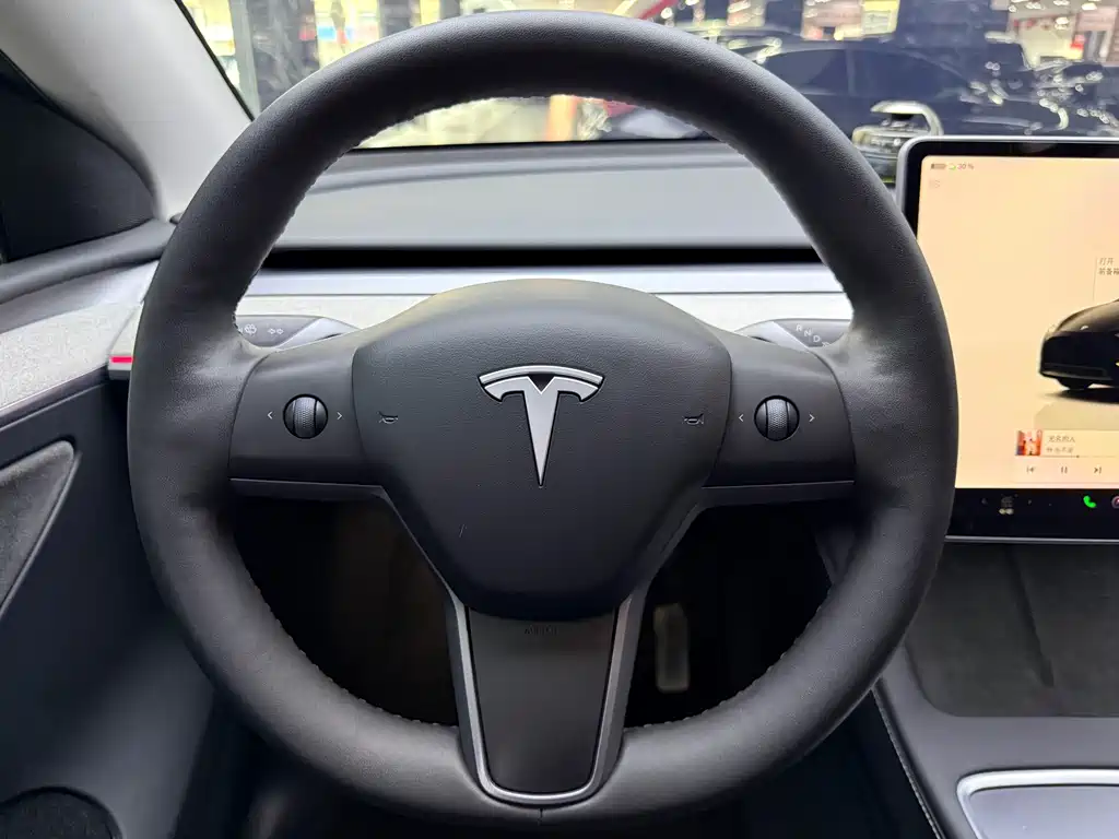 Tesla Model Y 2024 Rear-Wheel Drive 2024 - thumbnail 9