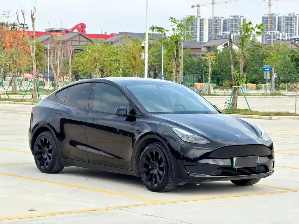 Tesla Model Y 2022 Rear-Wheel Drive 2022 - thumbnail 2