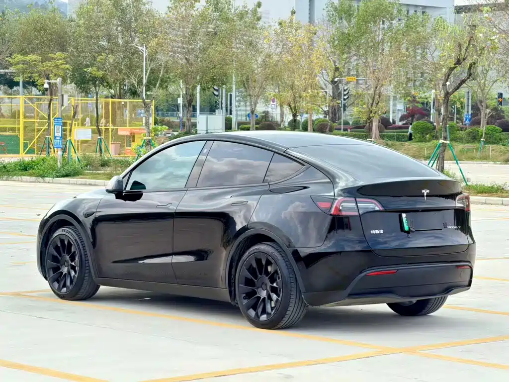 Tesla Model Y 2022 Rear-Wheel Drive 2022 - thumbnail 6