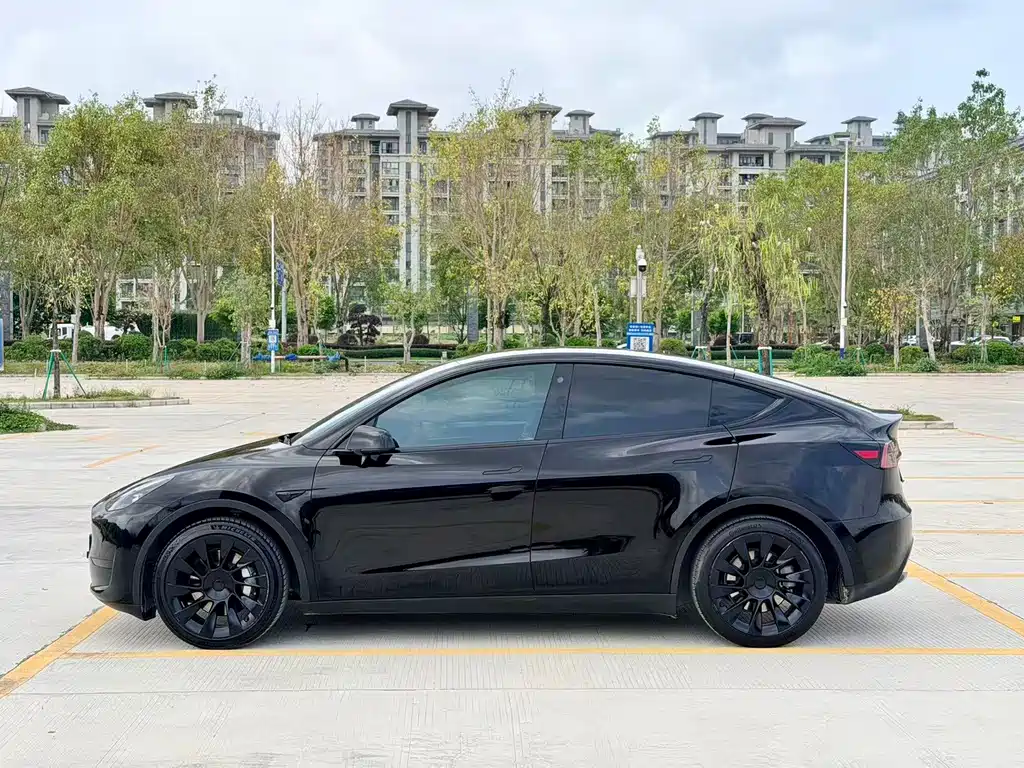 Tesla Model Y 2022 Rear-Wheel Drive 2022 - thumbnail 8