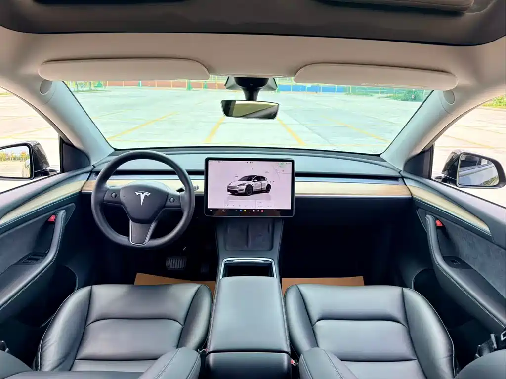 Tesla Model Y 2022 Rear-Wheel Drive 2022 - thumbnail 9