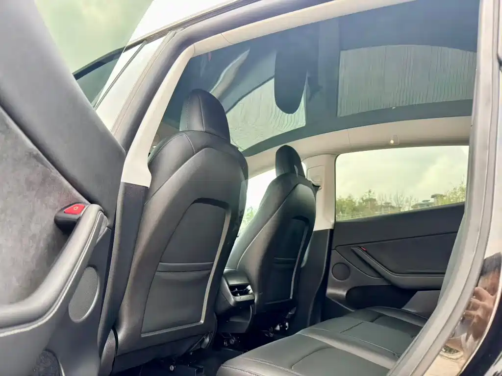 Tesla Model Y 2022 Rear-Wheel Drive 2022 - thumbnail 14
