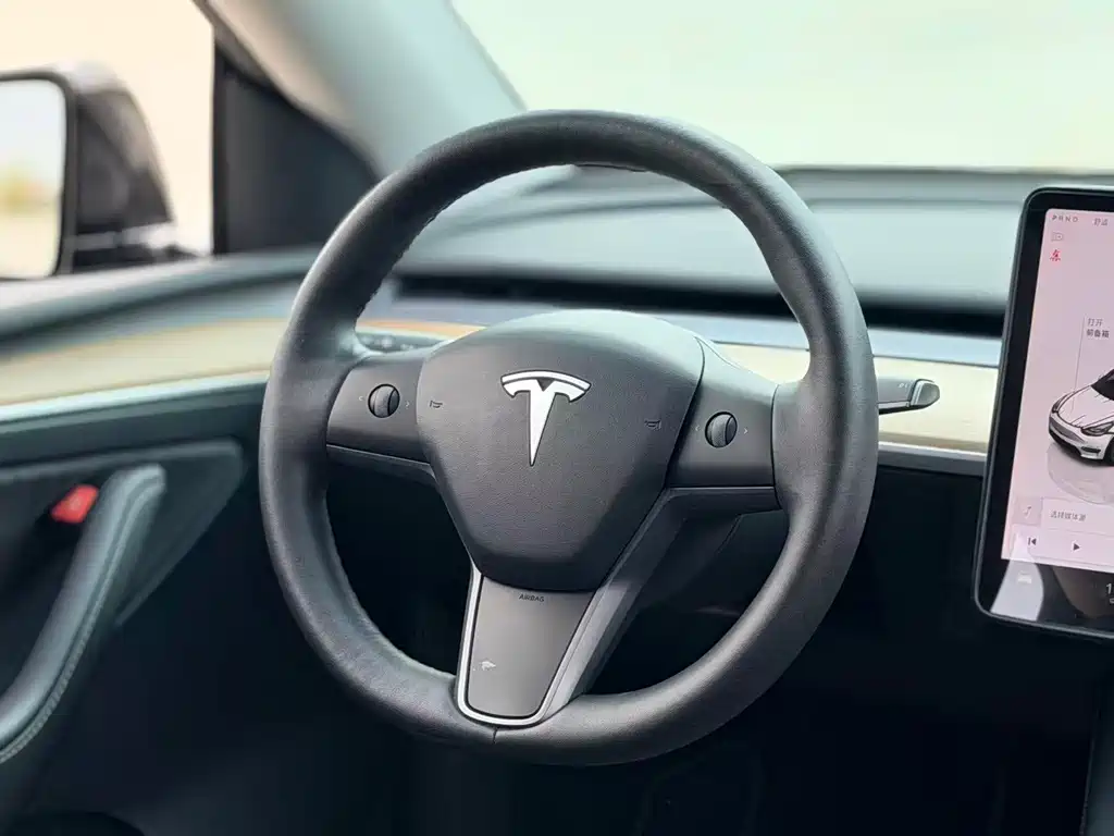Tesla Model Y 2022 Rear-Wheel Drive 2022 - thumbnail 17
