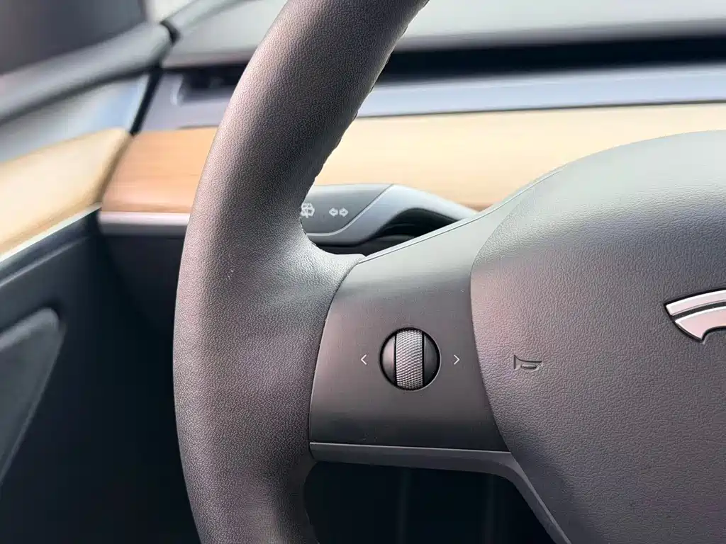 Tesla Model Y 2022 Rear-Wheel Drive 2022 - thumbnail 24