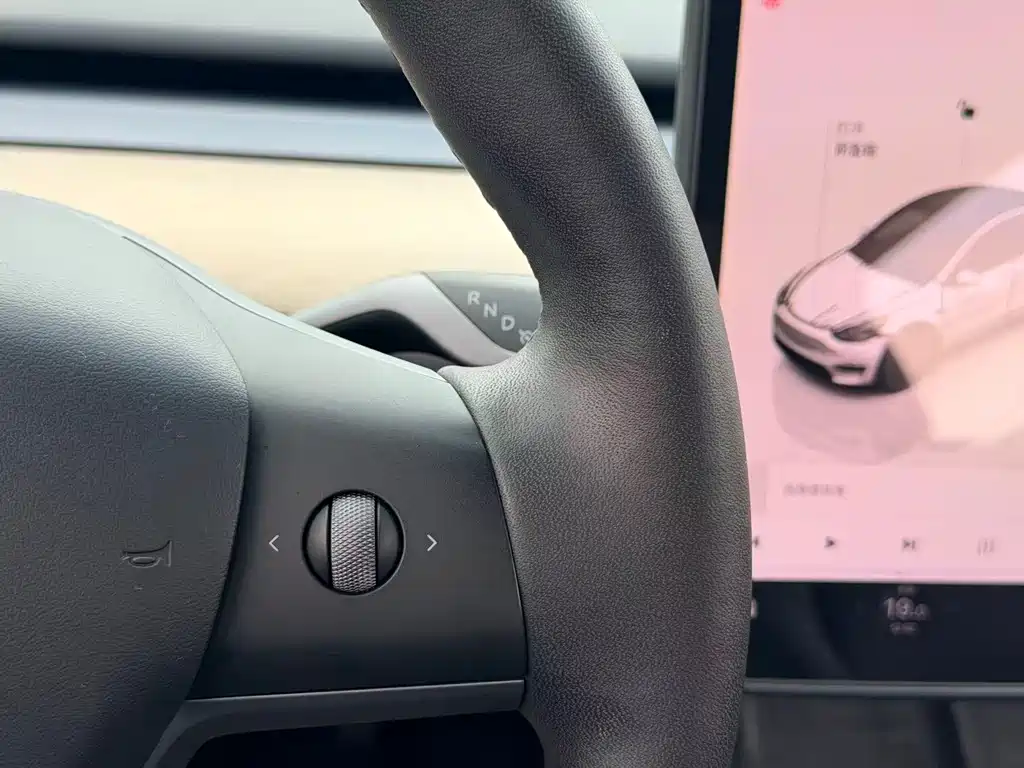 Tesla Model Y 2022 Rear-Wheel Drive 2022 - thumbnail 25