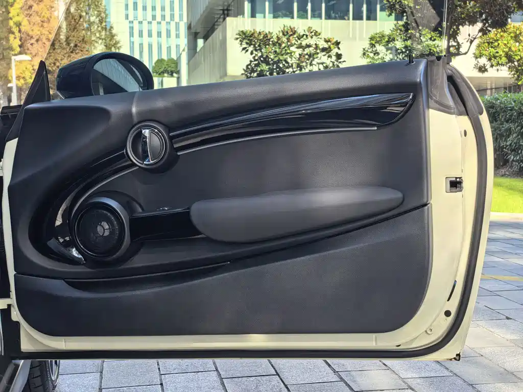 MINI MINI 2022 2.0T COOPER S Artist 2022 - thumbnail 21