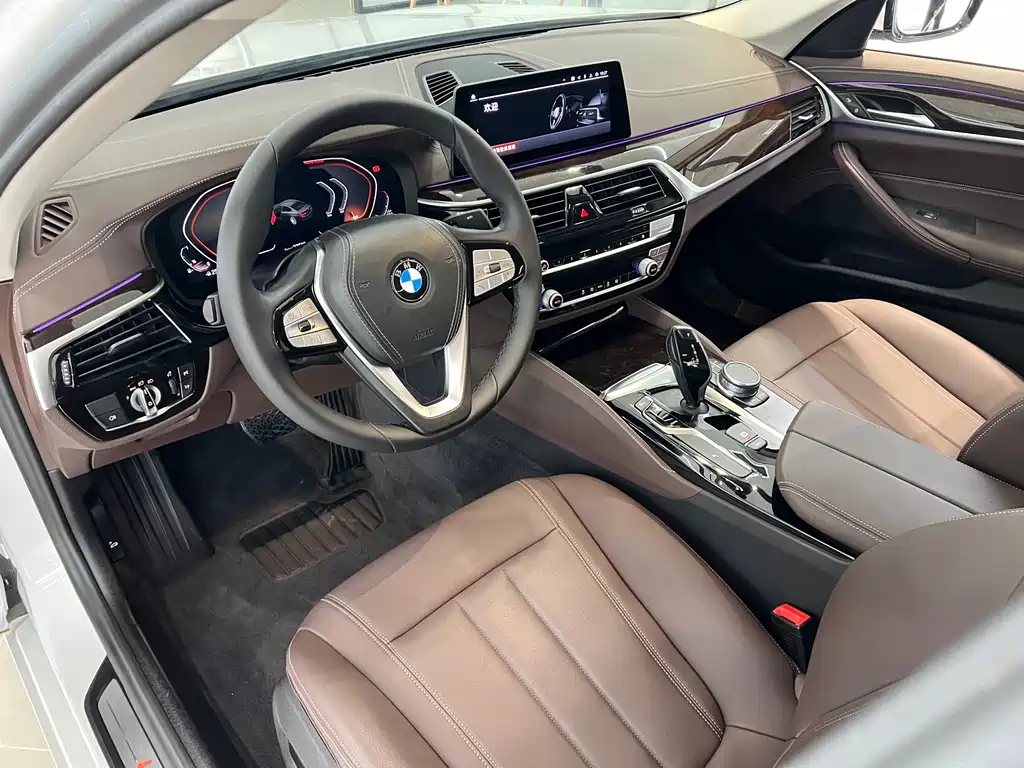 BMW BMW 5 Series 2020 525Li Luxury Package 2020 - thumbnail 6