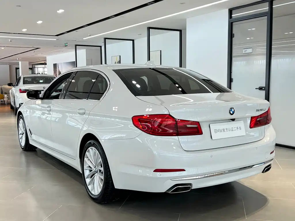 BMW BMW 5 Series 2020 525Li Luxury Package 2020 - thumbnail 16