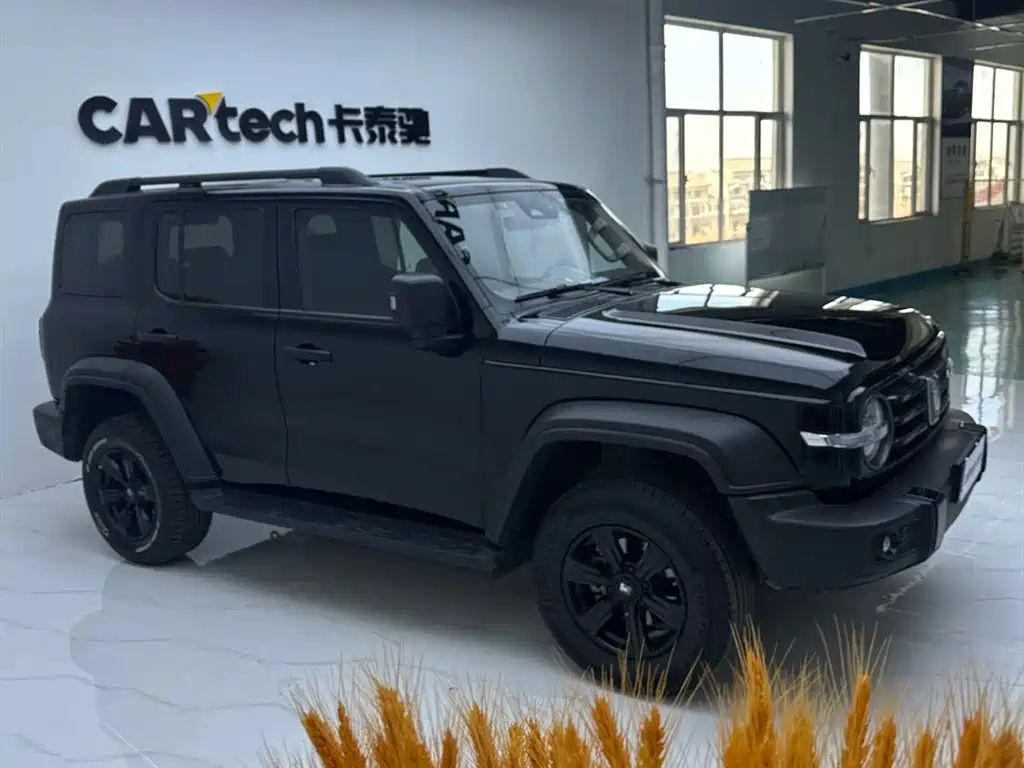 Tank Tank 300 2023 Off-road Edition 2.0T Challenger 2023 - thumbnail 12