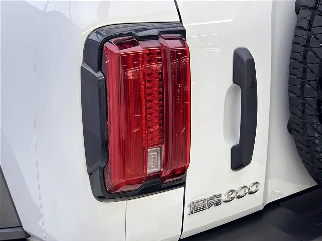 Tank Tank 300 2021 Off-road Edition 2.0T Conqueror 2022 - thumbnail 9