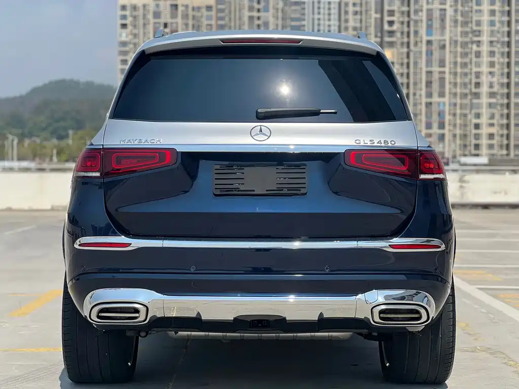 Mercedes-Benz Mercedes-Benz GLS 2021 Model Year Facelift GLS 450 4MATIC Luxury Edition 2021 - thumbnail 10
