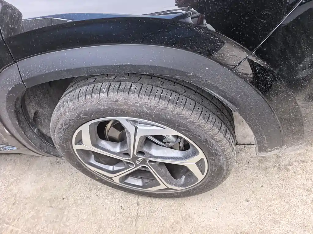 Geely Auto Star Ray L 2024 2.0TD High Power Automatic FWD Cloud Version 2024 - thumbnail 16