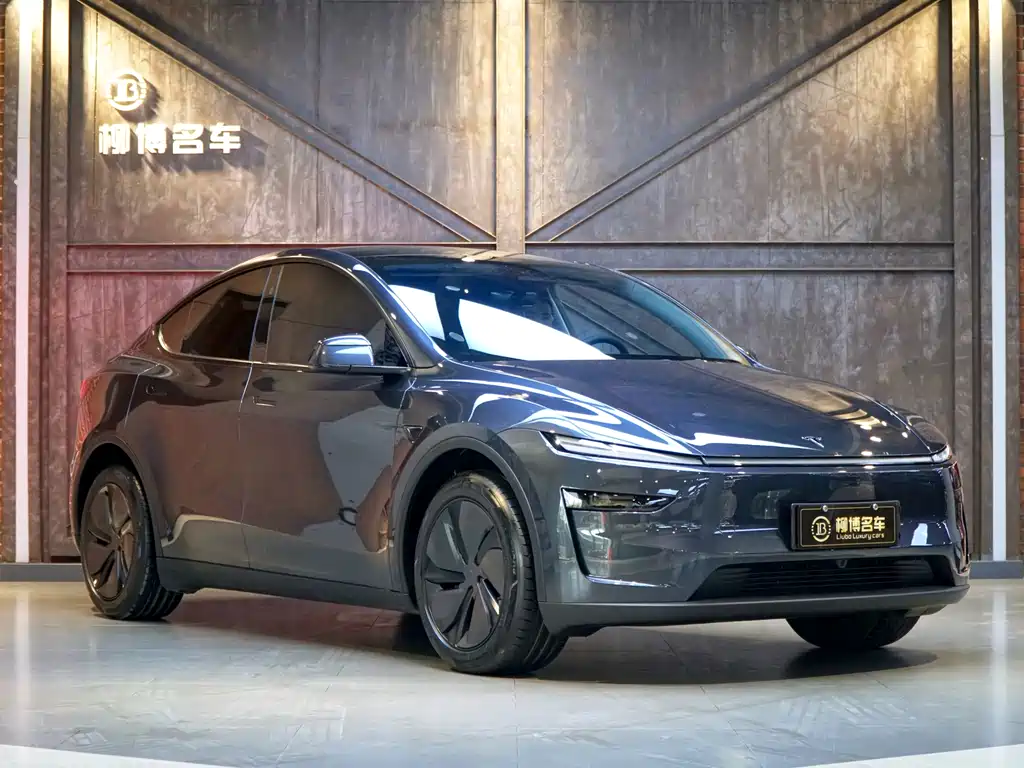 Tesla Model Y 2025 Long Range AWD First Edition 2025 - thumbnail 20