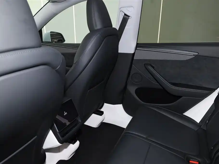 Tesla Model Y 2025 Long Range All-Wheel Drive 2025 - thumbnail 9