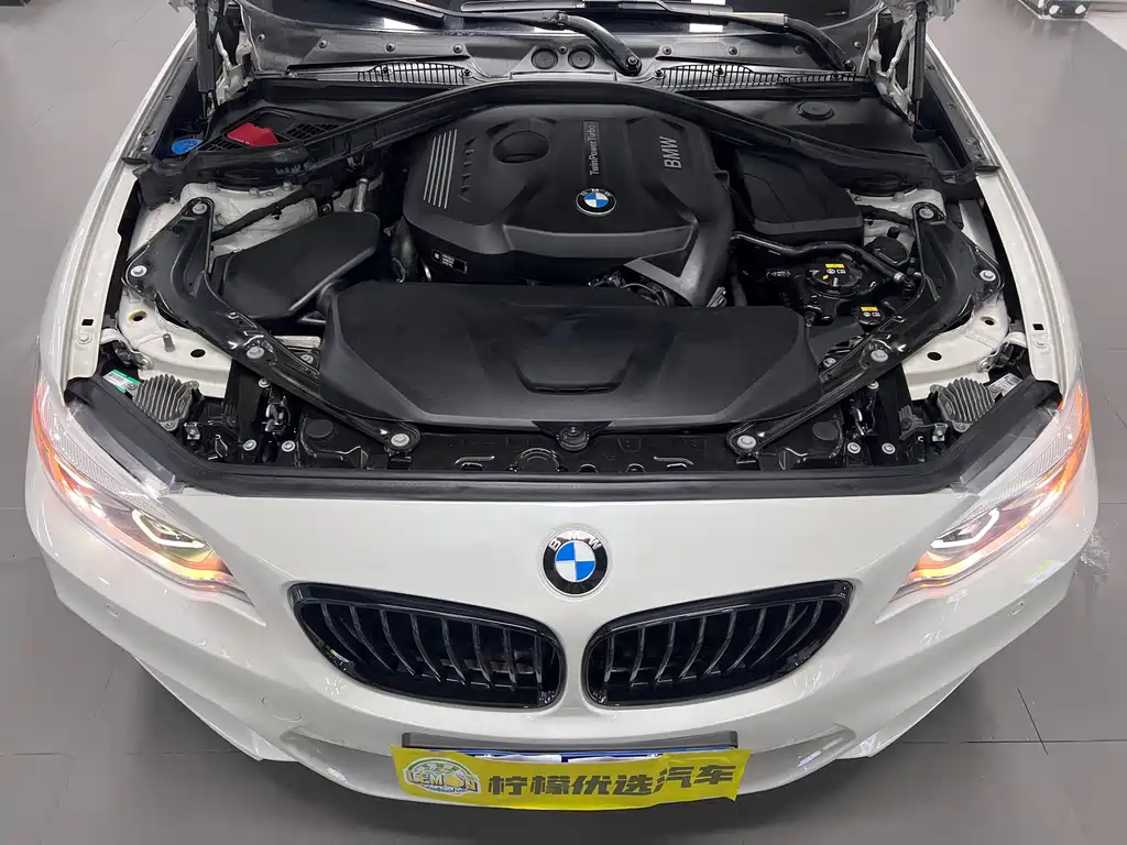 BMW BMW 2 Series (Imported) 2019 Model 225i Convertible Coupe Premium M Sport Package 2020 - thumbnail 17