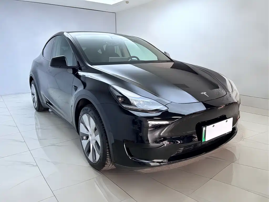 Tesla Model Y 2022 Rear-Wheel Drive Version 2022 - thumbnail 2