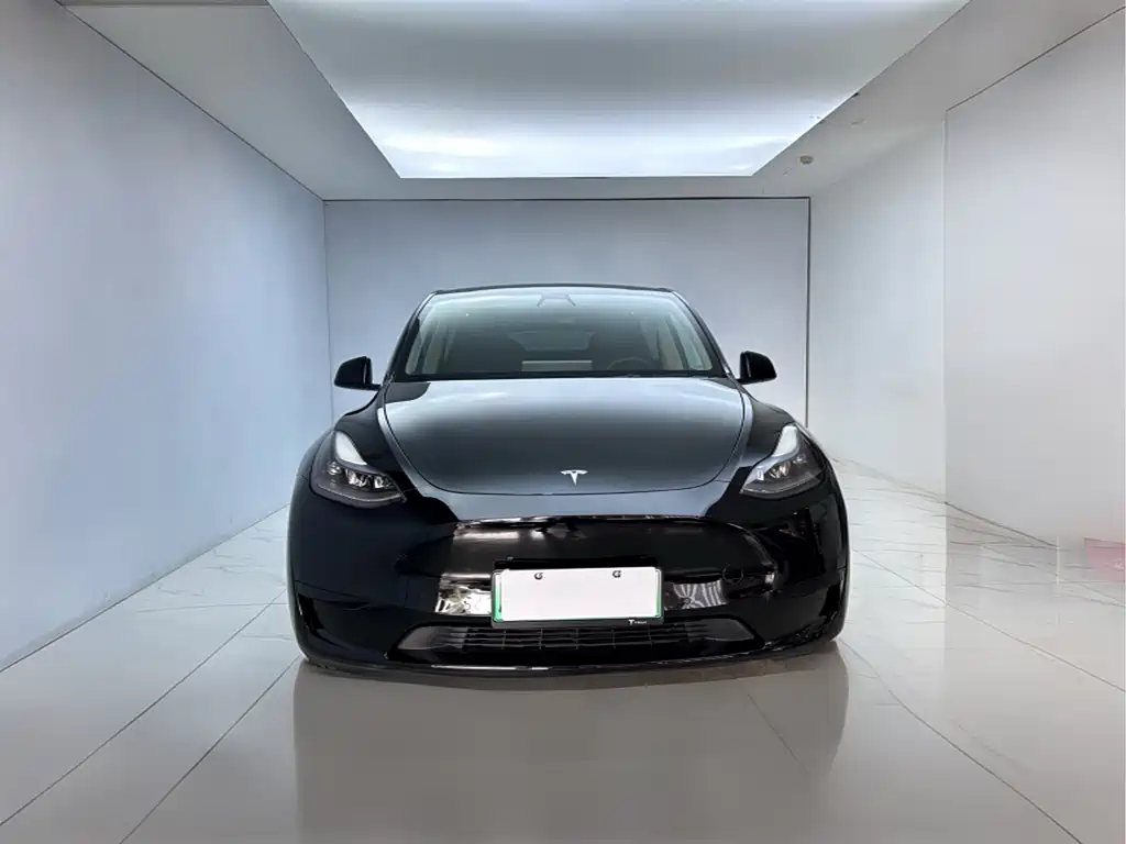 Tesla Model Y 2022 Rear-Wheel Drive Version 2022 - thumbnail 3