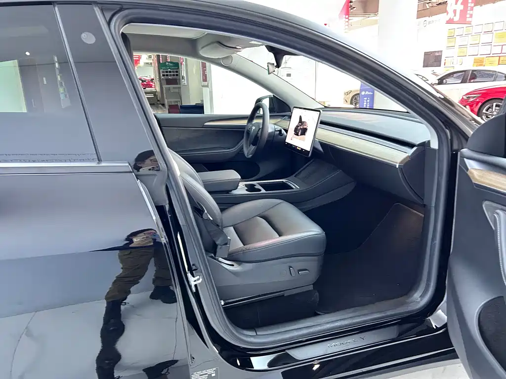 Tesla Model Y 2022 Rear-Wheel Drive Version 2022 - thumbnail 10