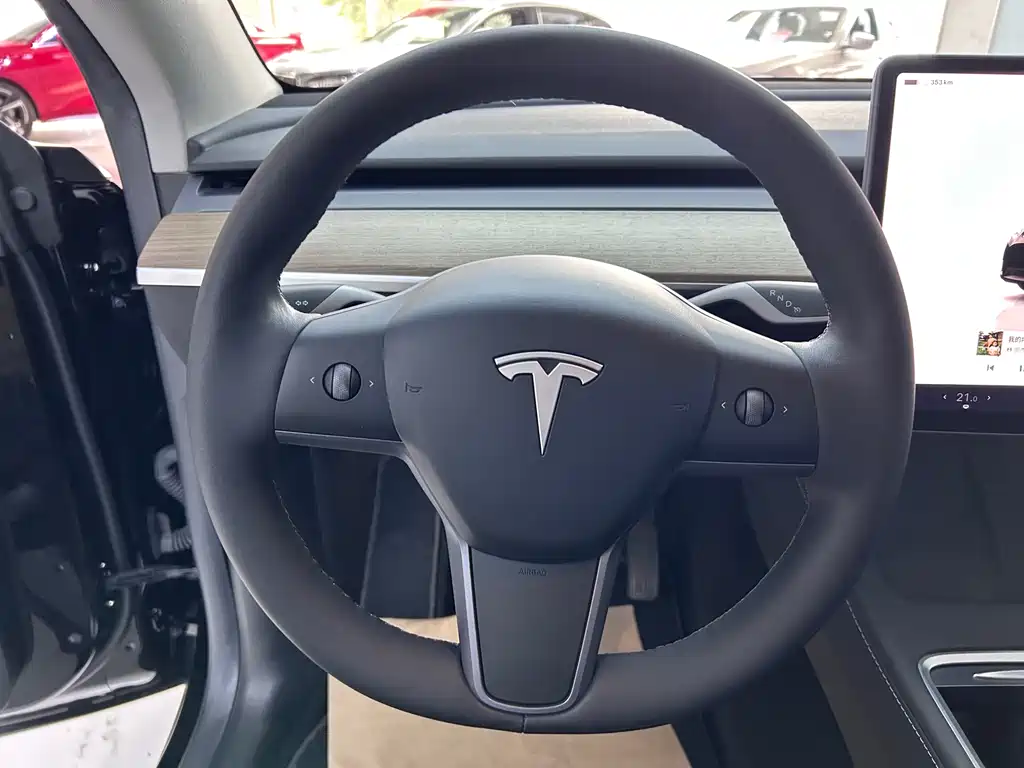Tesla Model Y 2022 Rear-Wheel Drive Version 2022 - thumbnail 14