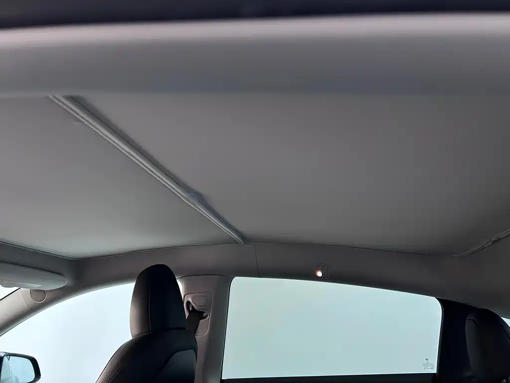 Tesla Model Y 2022 Rear-Wheel Drive Version 2022 - thumbnail 19