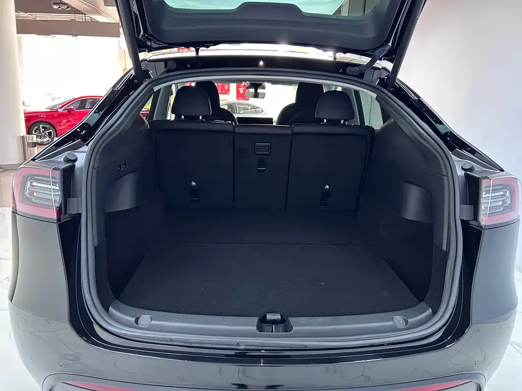 Tesla Model Y 2022 Rear-Wheel Drive Version 2022 - thumbnail 21