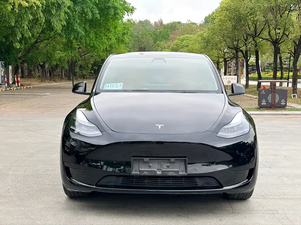 Tesla Model Y 2022 Rear-Wheel Drive Version 2023 - thumbnail 2