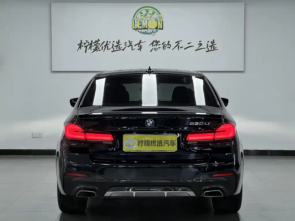 BMW BMW 5 Series 2021 530Li Leading Model M Sport Package 2021 - thumbnail 5