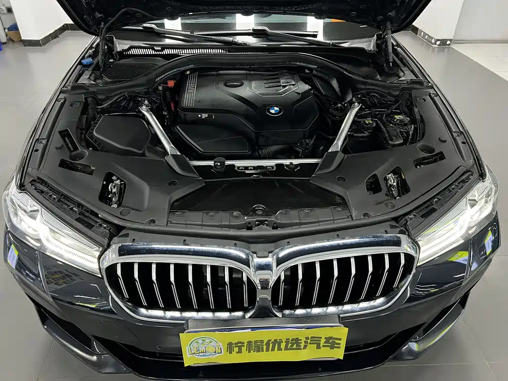 BMW BMW 5 Series 2021 530Li Leading Model M Sport Package 2021 - thumbnail 9