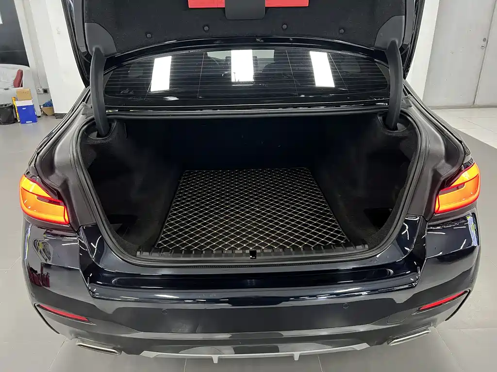 BMW BMW 5 Series 2021 530Li Leading Model M Sport Package 2021 - thumbnail 10