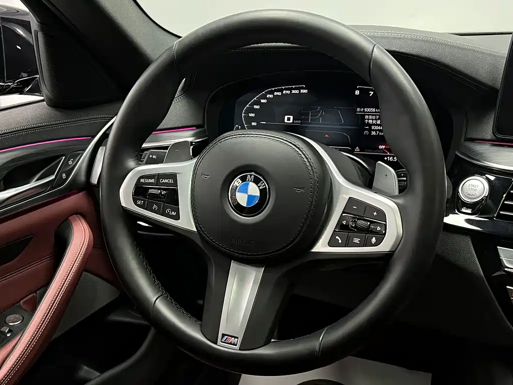 BMW BMW 5 Series 2021 530Li Leading Model M Sport Package 2021 - thumbnail 15