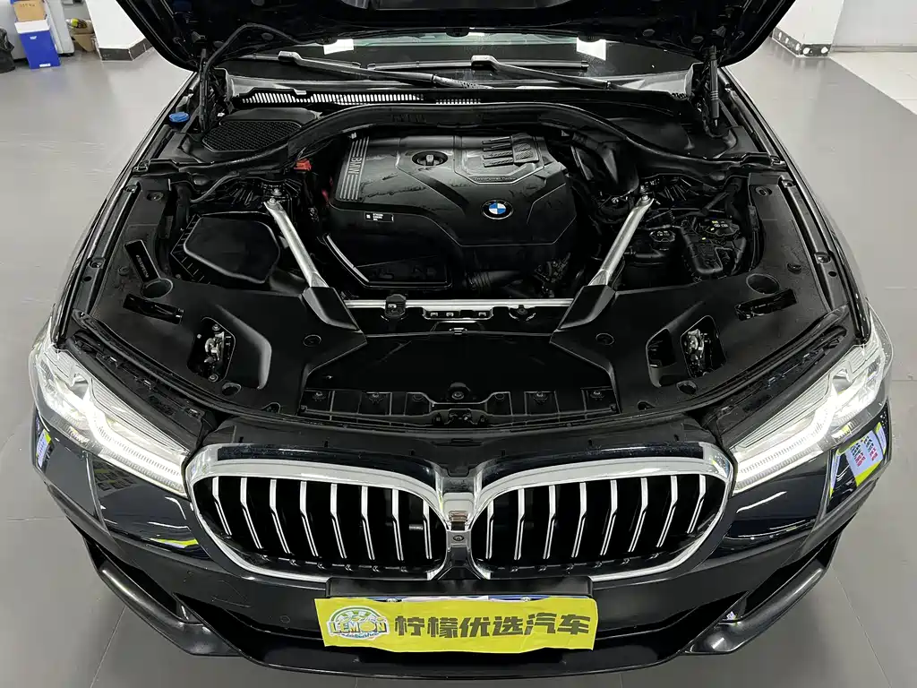 BMW BMW 5 Series 2023 530Li Premium M Sport Package 2023 - thumbnail 7