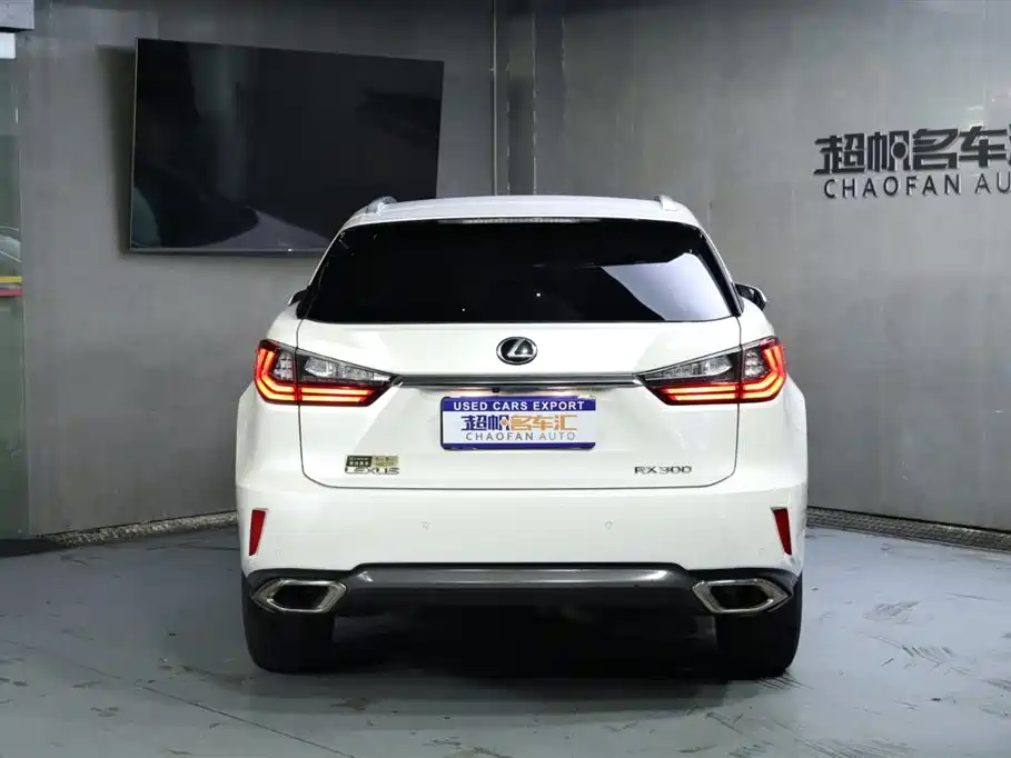 Lexus Lexus RX 300 AWD Elegant Edition 2016 Model China V 2019 - thumbnail 4