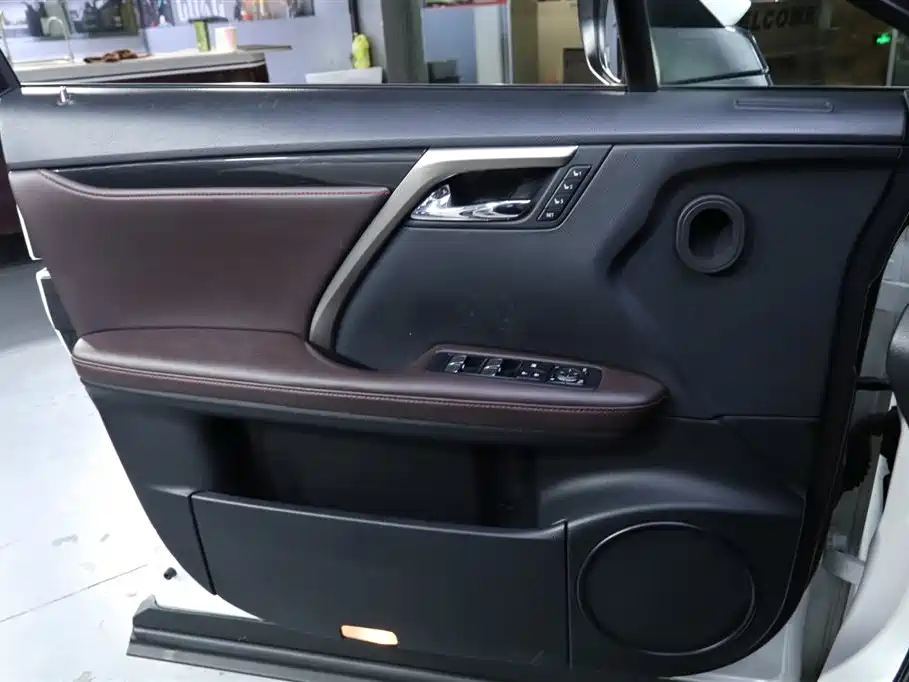 Lexus Lexus RX 300 AWD Elegant Edition 2016 Model China V 2019 - thumbnail 9