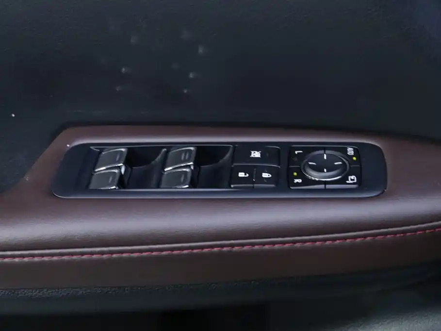 Lexus Lexus RX 300 AWD Elegant Edition 2016 Model China V 2019 - thumbnail 10