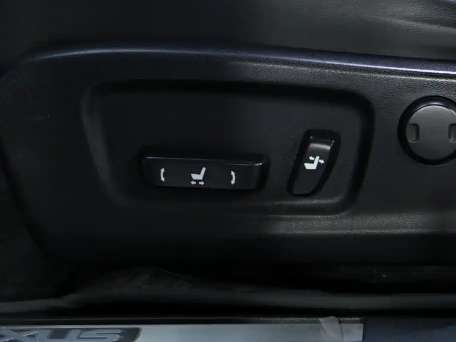 Lexus Lexus RX 300 AWD Elegant Edition 2016 Model China V 2019 - thumbnail 14