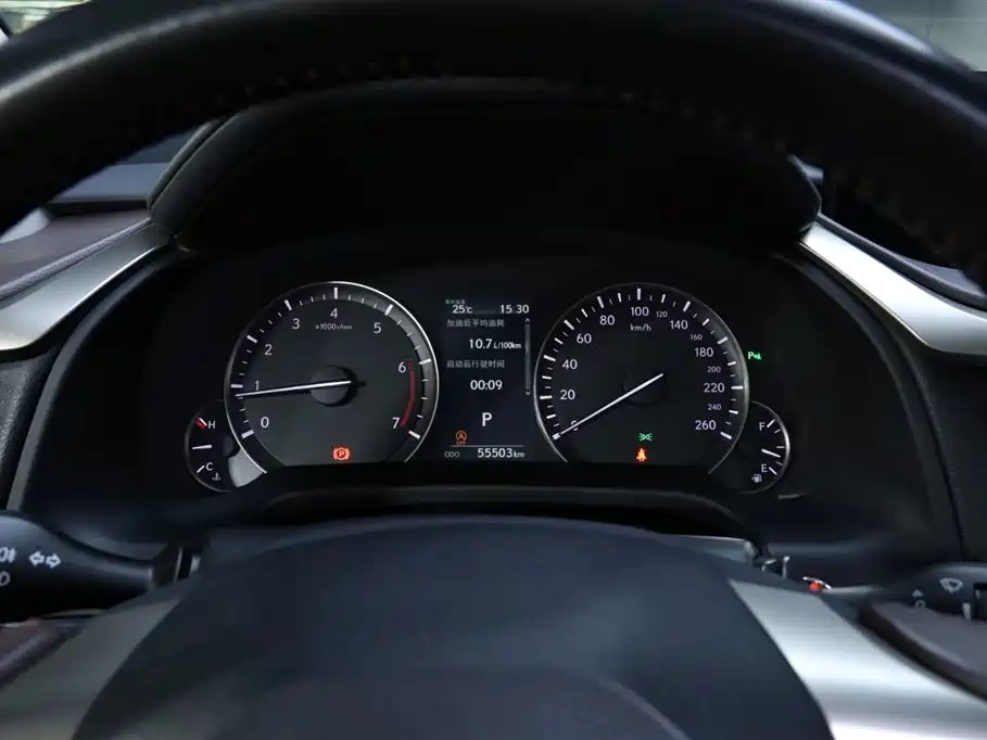 Lexus Lexus RX 300 AWD Elegant Edition 2016 Model China V 2019 - thumbnail 21