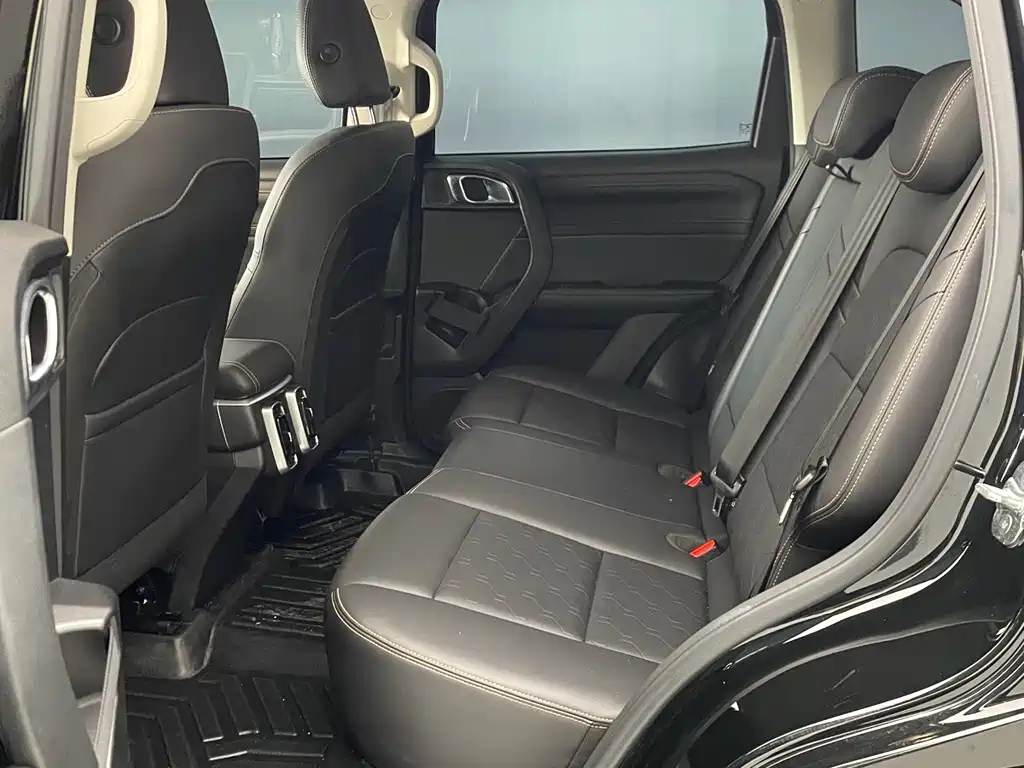 Haval Haval Big Dog 2024 1.5T DCT Border Collie Edition 2023 - thumbnail 5