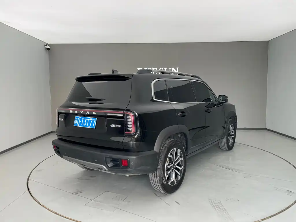 Haval Haval Big Dog 2024 1.5T DCT Border Collie Edition 2023 - thumbnail 8