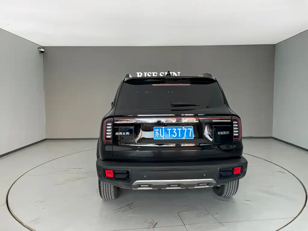 Haval Haval Big Dog 2024 1.5T DCT Border Collie Edition 2023 - thumbnail 9